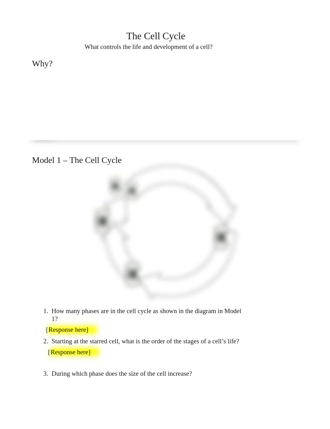 The Cell Cycle (1).docx_dfdvmjnbzwc_page1