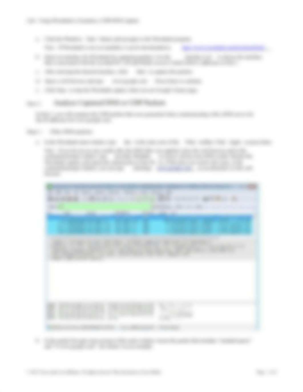 Lab - Using Wireshark to Examine a UDP DNS Capture.docx_dfe1kvj9qov_page2