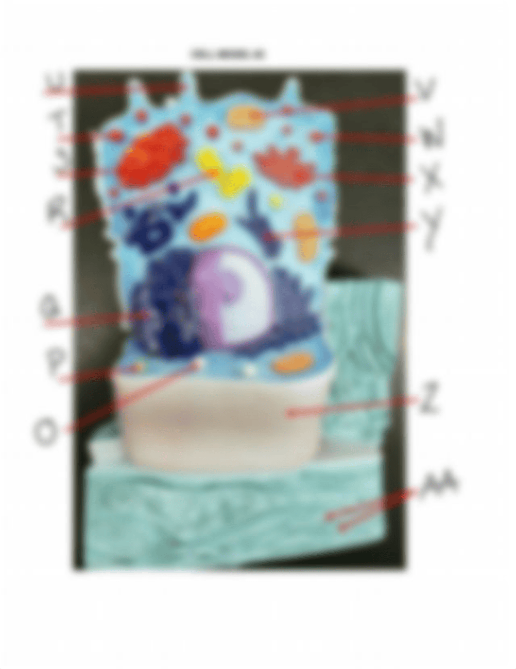 Practice_for_Cell_Models_Labeling_xu3EYYj.pdf_dfe73cyl24d_page2