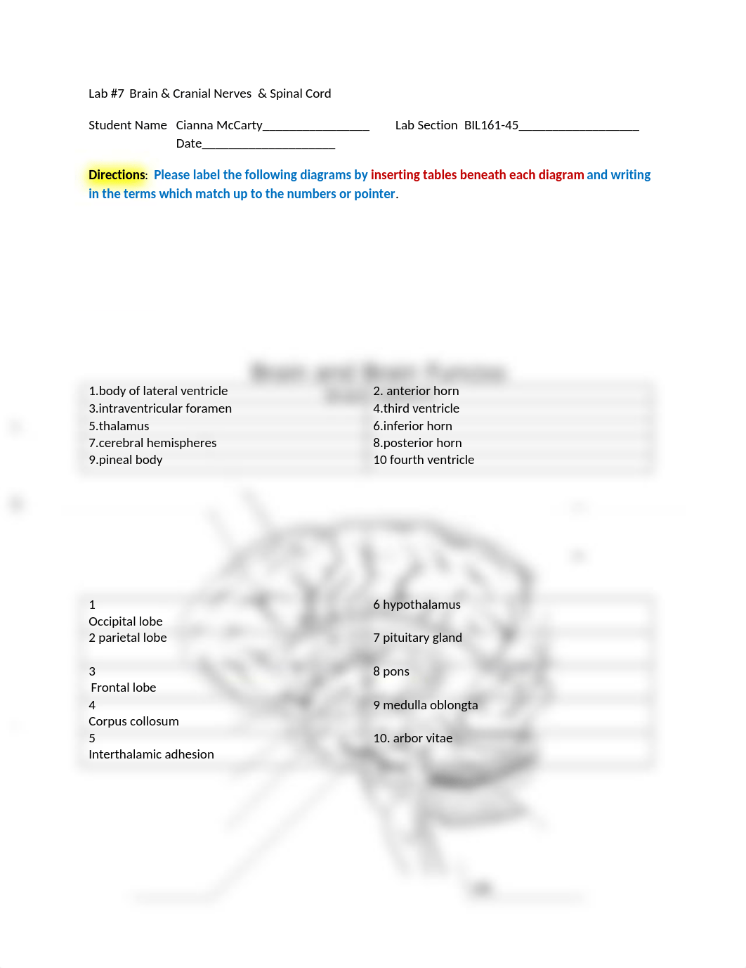 Brain_CNerves_SpinalCord Worksheet.docx_dfe908mocgf_page1