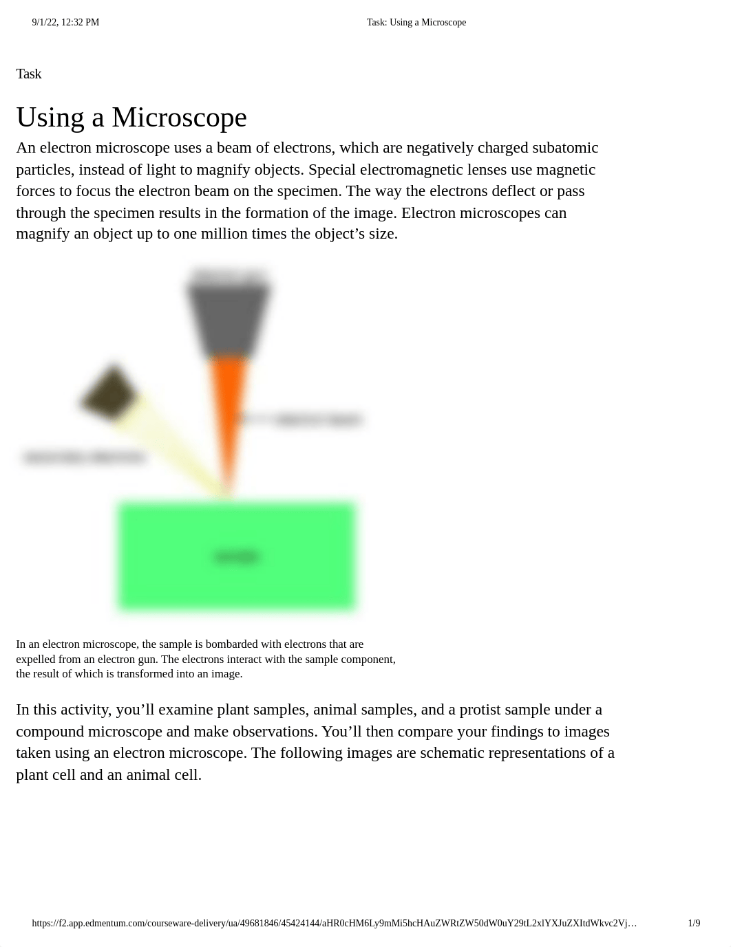 Course Activity_ Using a Microscope.pdf_dfed43zro4w_page1