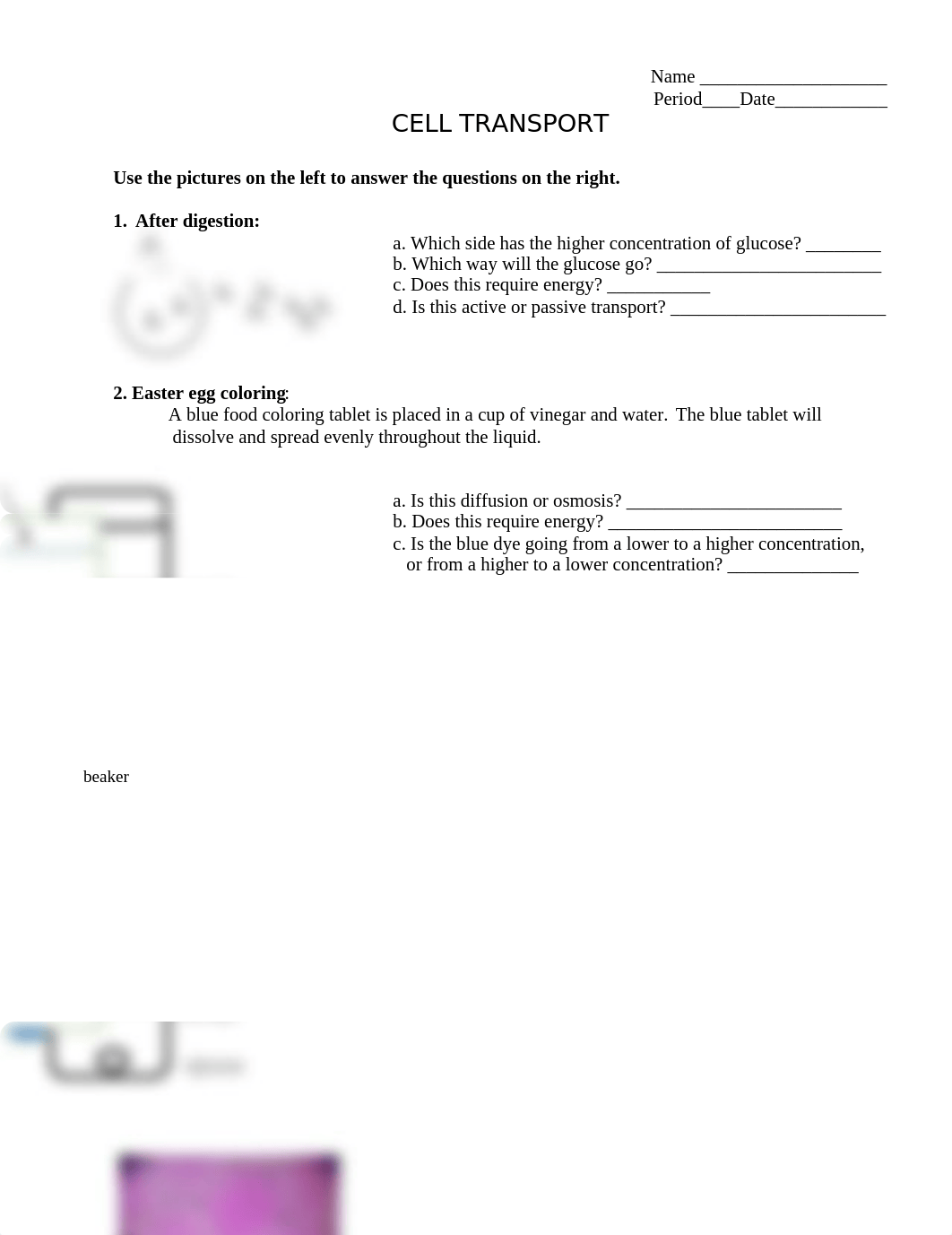 cell_transport_pract (2).docx_dfegsltlosv_page1