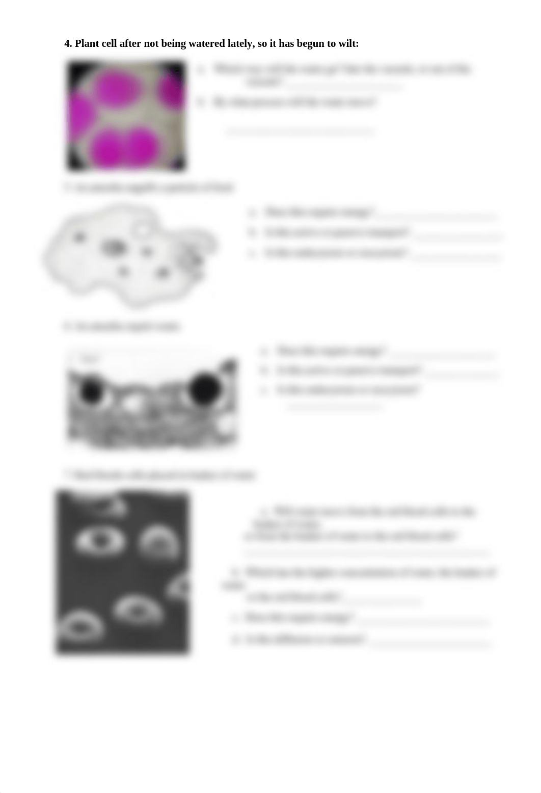 cell_transport_pract (2).docx_dfegsltlosv_page2