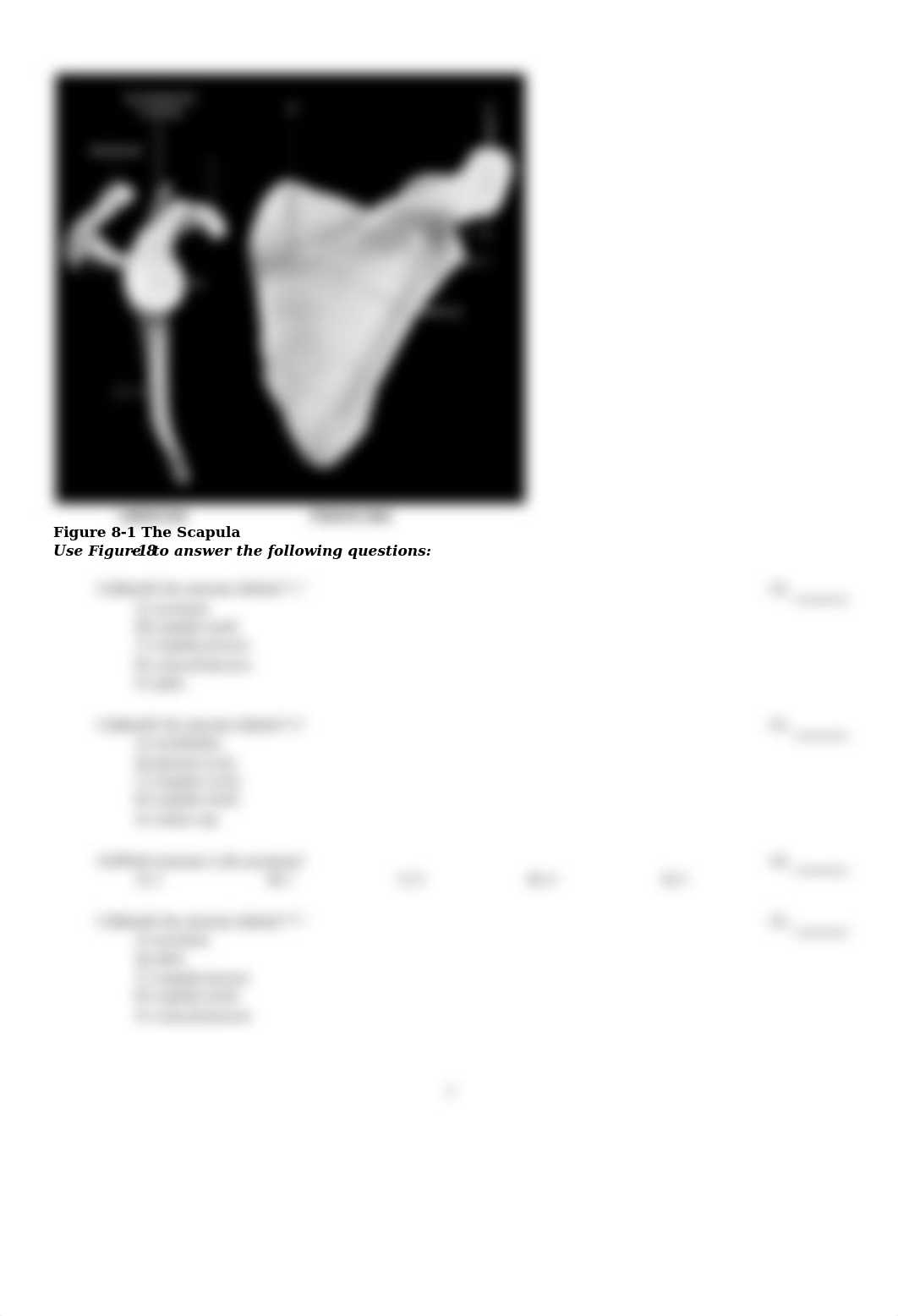 Chp 8.PDF_dfehm98qcvs_page3