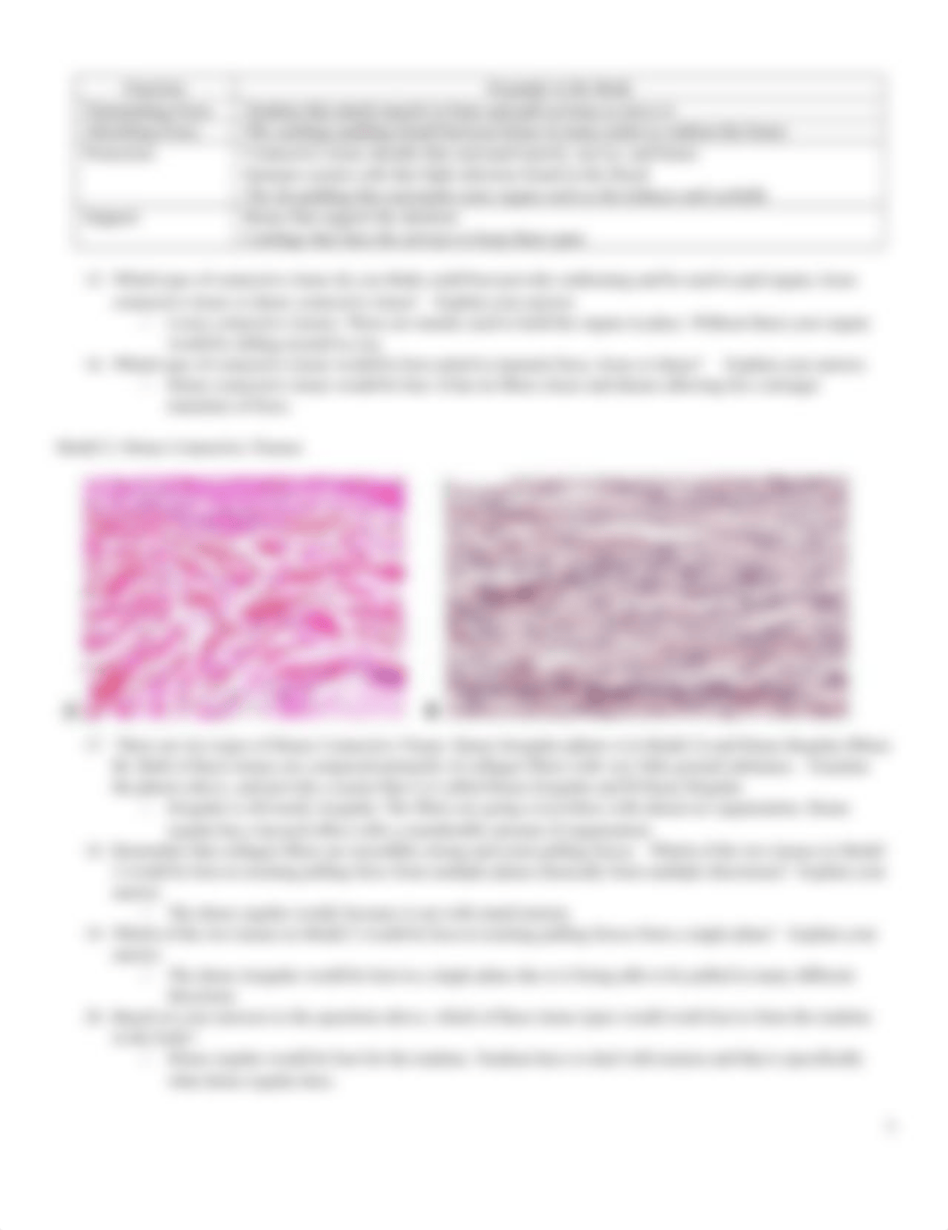 connective tissues POGIL.docx_dfeiwjriea1_page3