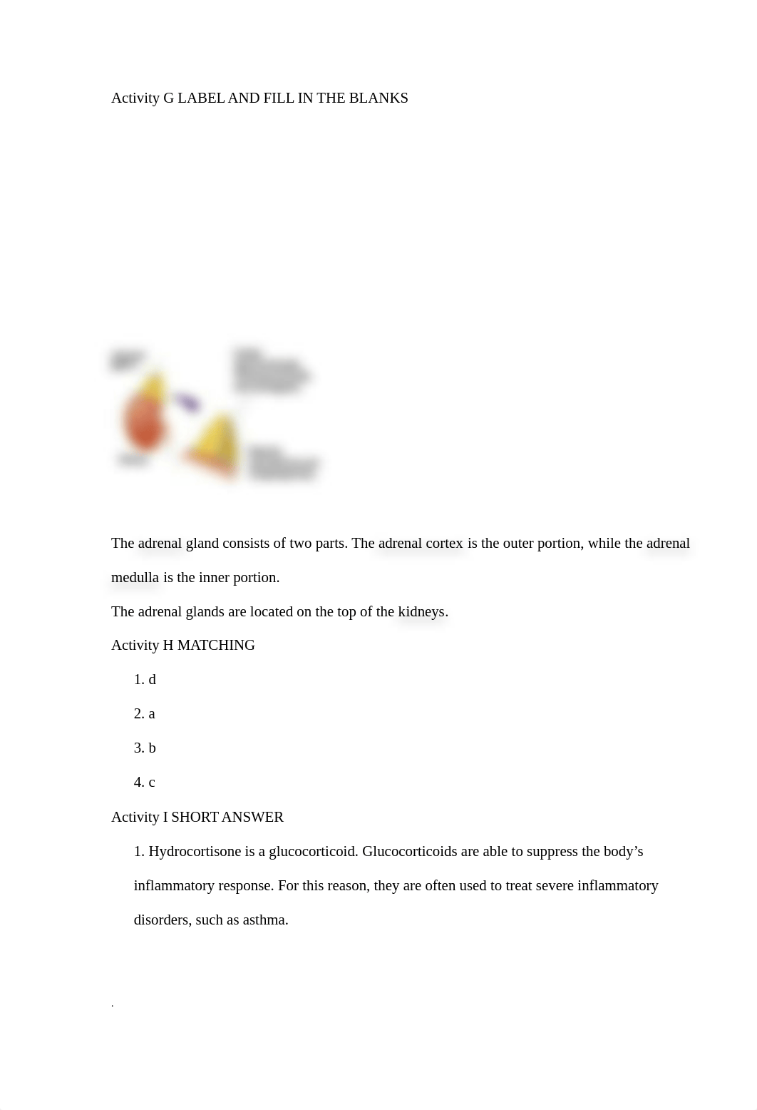 Carter_4e_AQWorkbook_Chapter34.doc_dfeiwrik0a3_page4