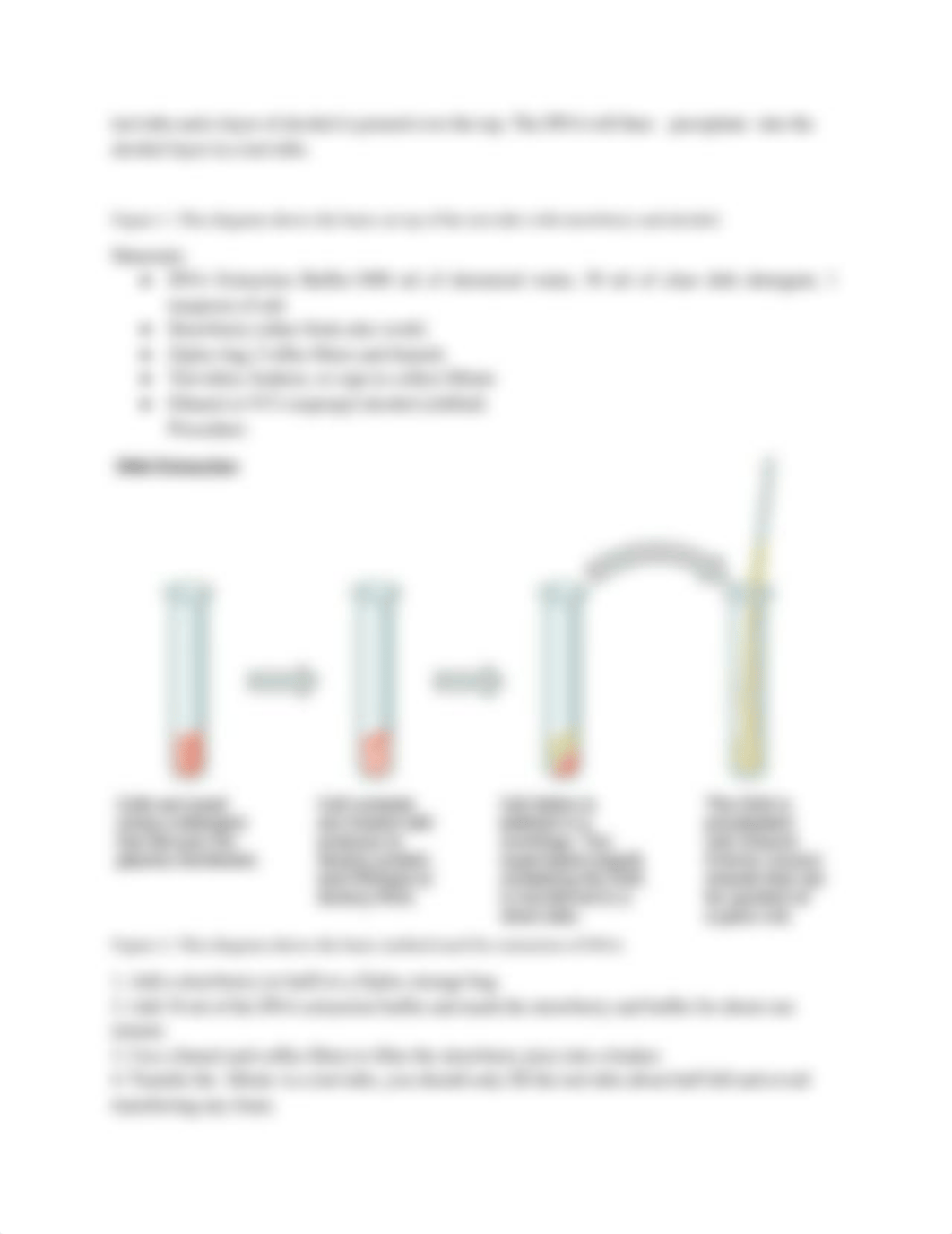 Lab 13. DNA Biology and Technology.docx (1).pdf_dfeqtcm2399_page3