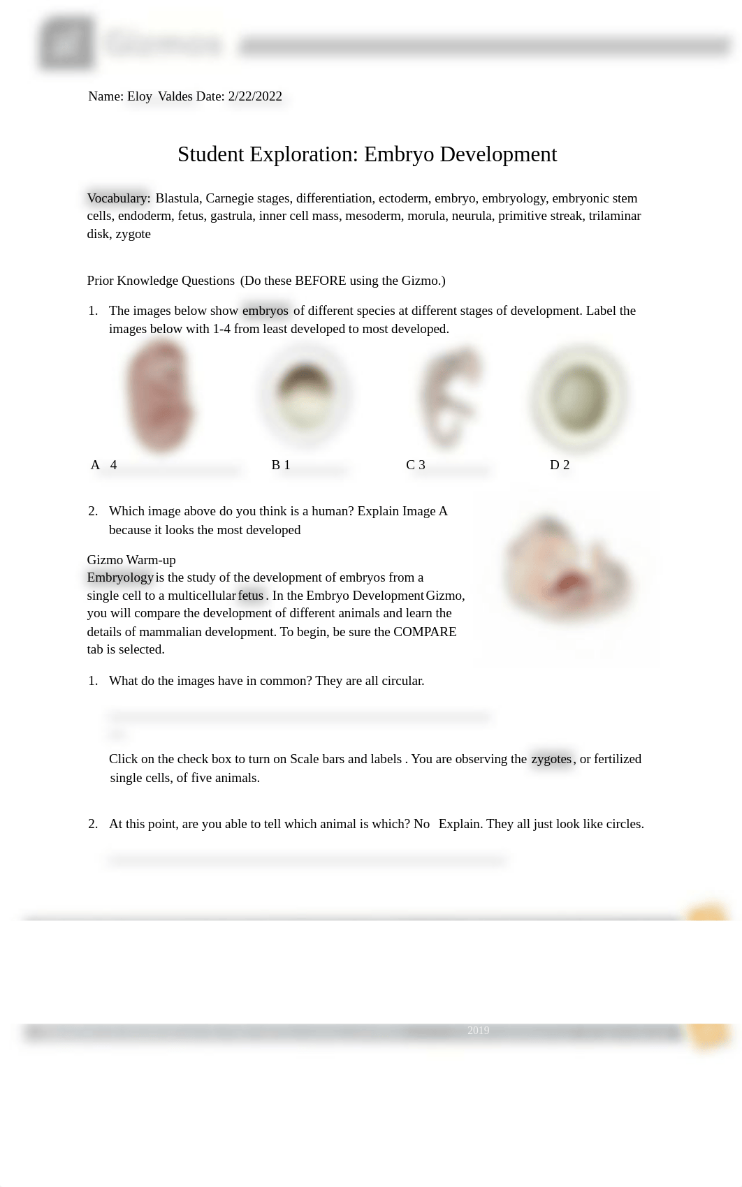 answers_embryo.docx.pdf.docx_dfevchwg39z_page1