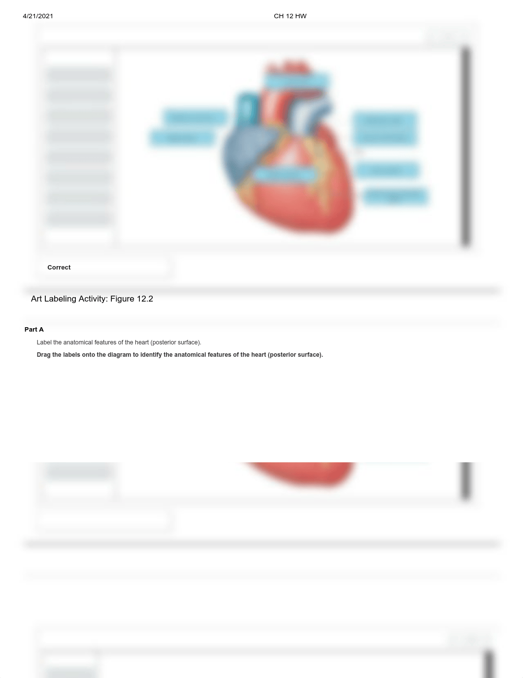 Combined pearson human anatomy ch 12 13 14 15  exam 4.pdf_dff265akp79_page2