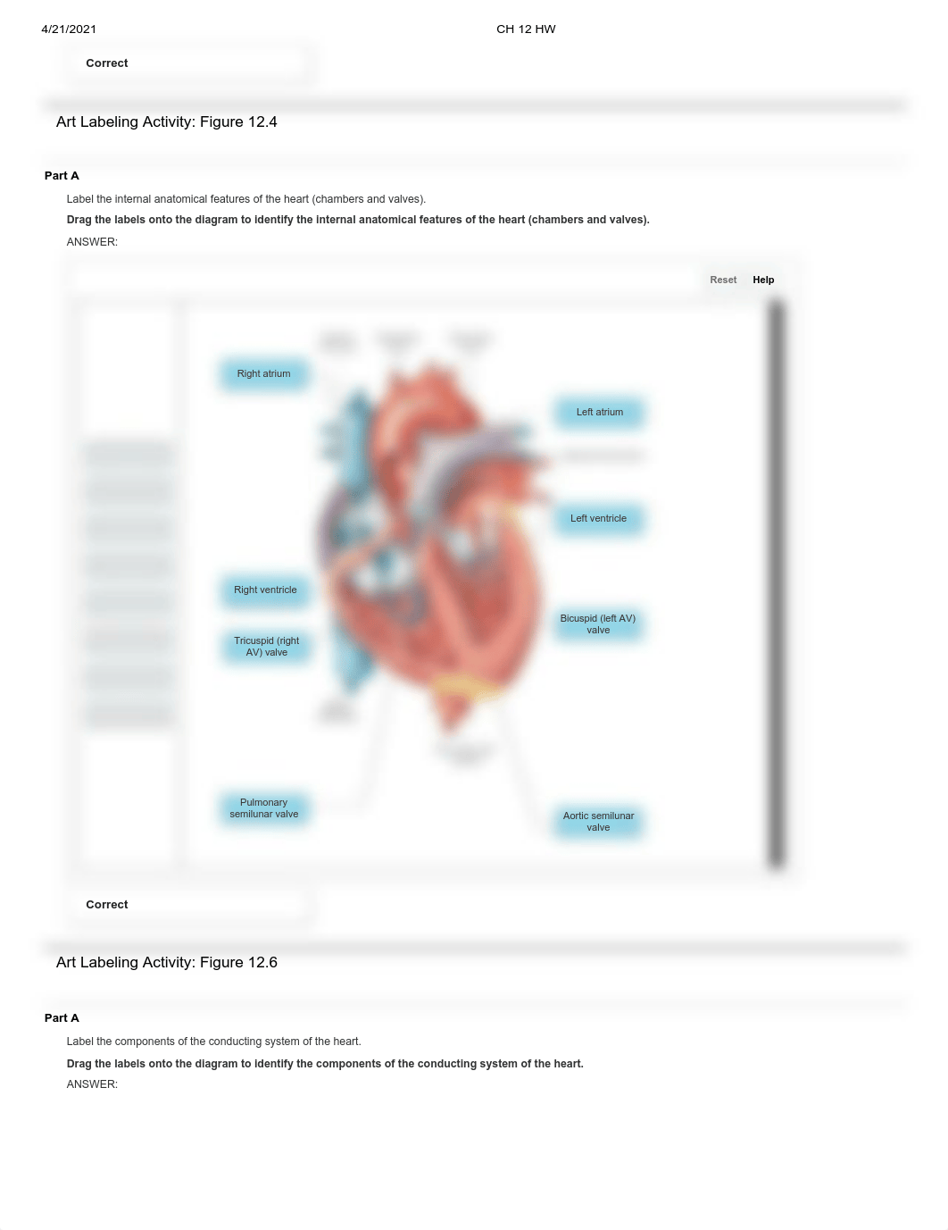 Combined pearson human anatomy ch 12 13 14 15  exam 4.pdf_dff265akp79_page3