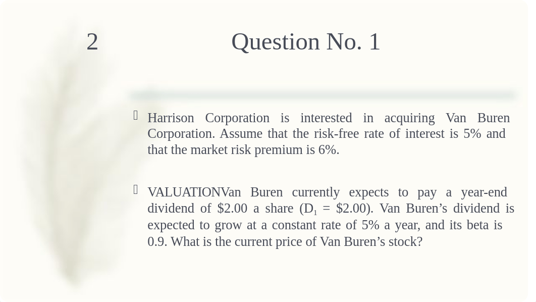 Practice Questions M&A.pptx_dffb0a4mkas_page2