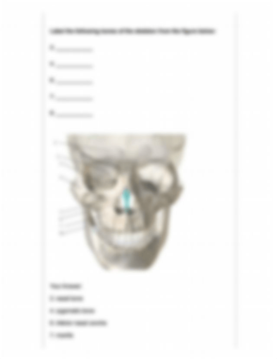 M4 Exam.pdf_dffb5q8vmcr_page5