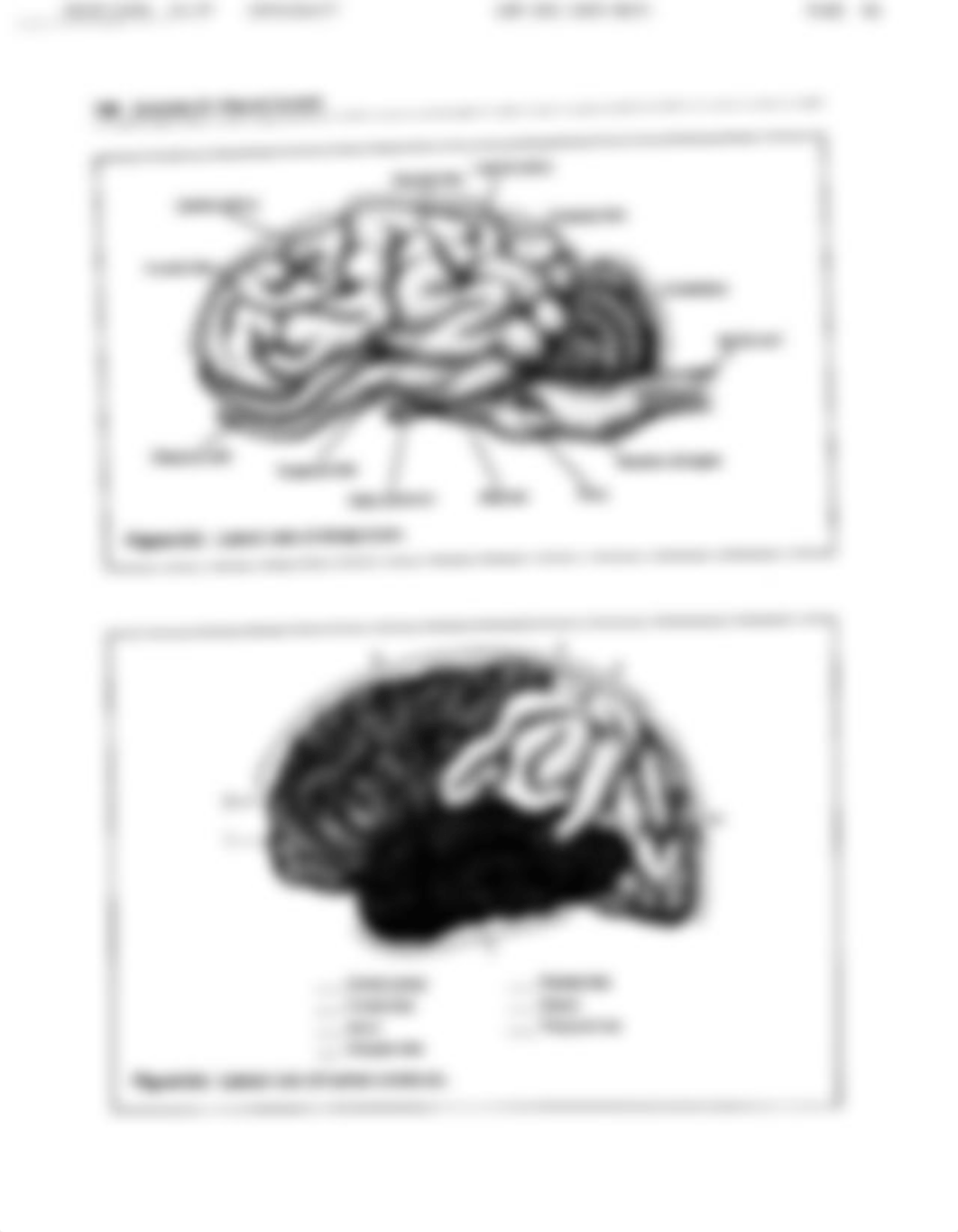 Lab 8 Neural Control.pdf_dffiird9ezj_page4