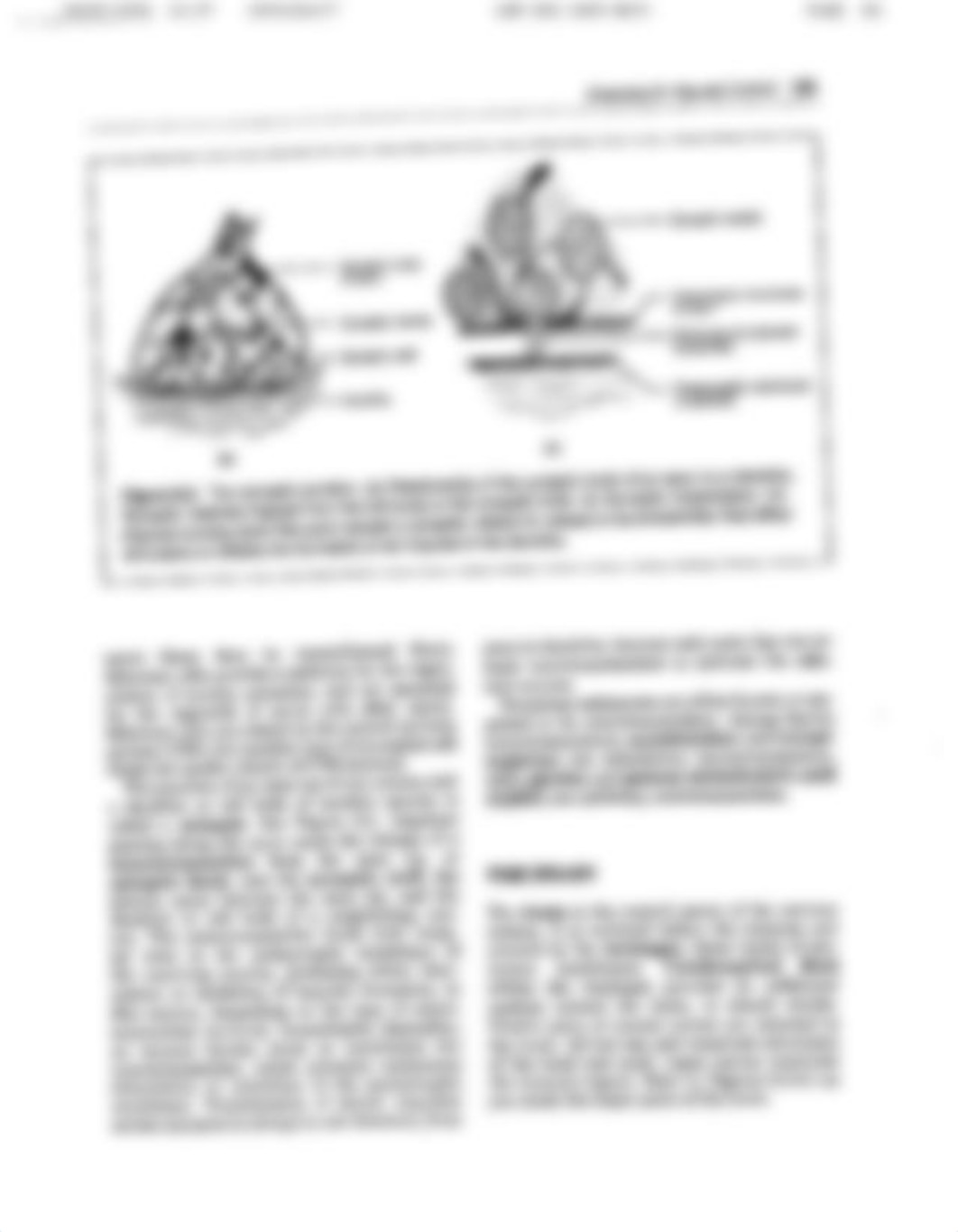 Lab 8 Neural Control.pdf_dffiird9ezj_page3