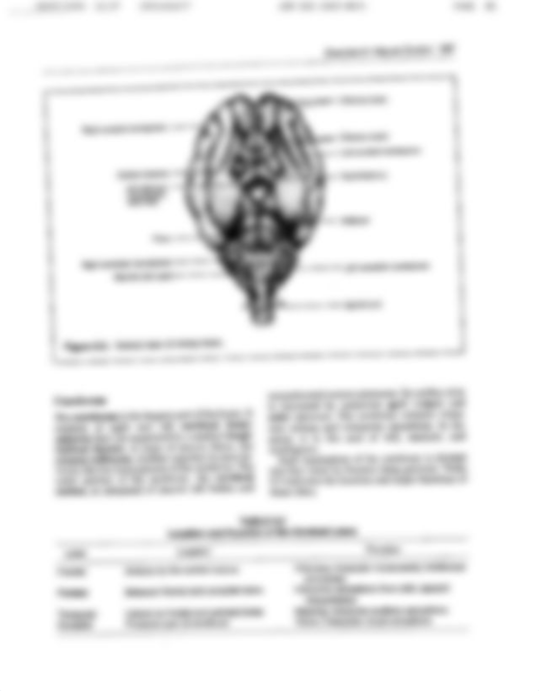 Lab 8 Neural Control.pdf_dffiird9ezj_page5