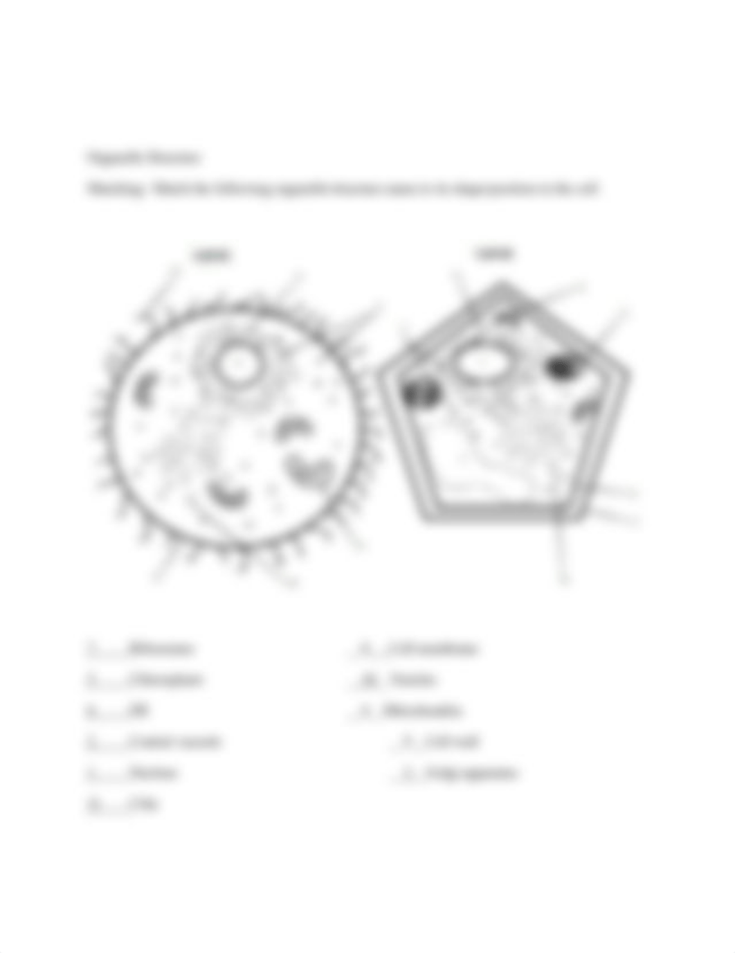 Assignment_2_(cell_structure_and_function)_online_dffnpvp1mgu_page2