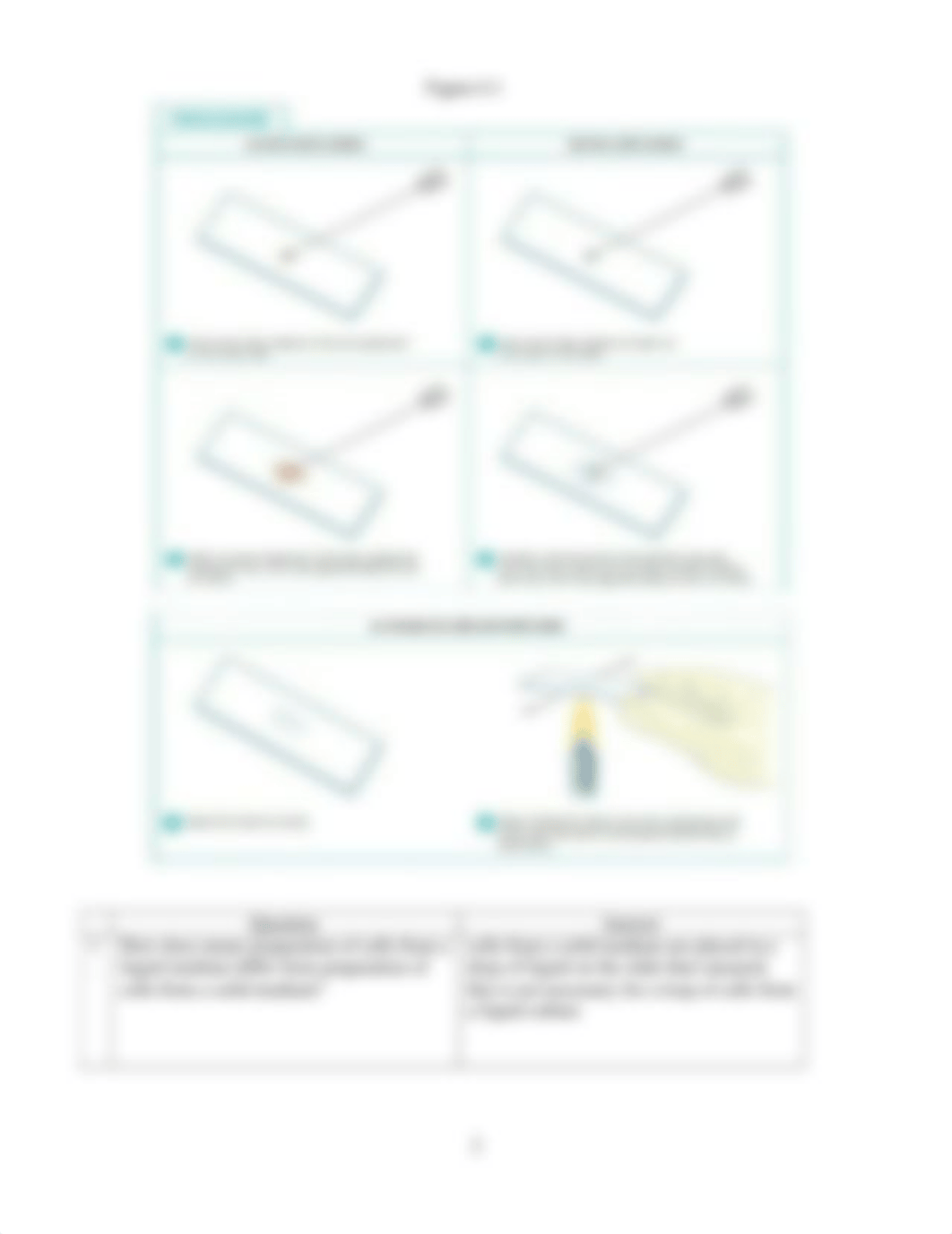 Lab 6 Smear Preparation .docx_dffopbcn57w_page2