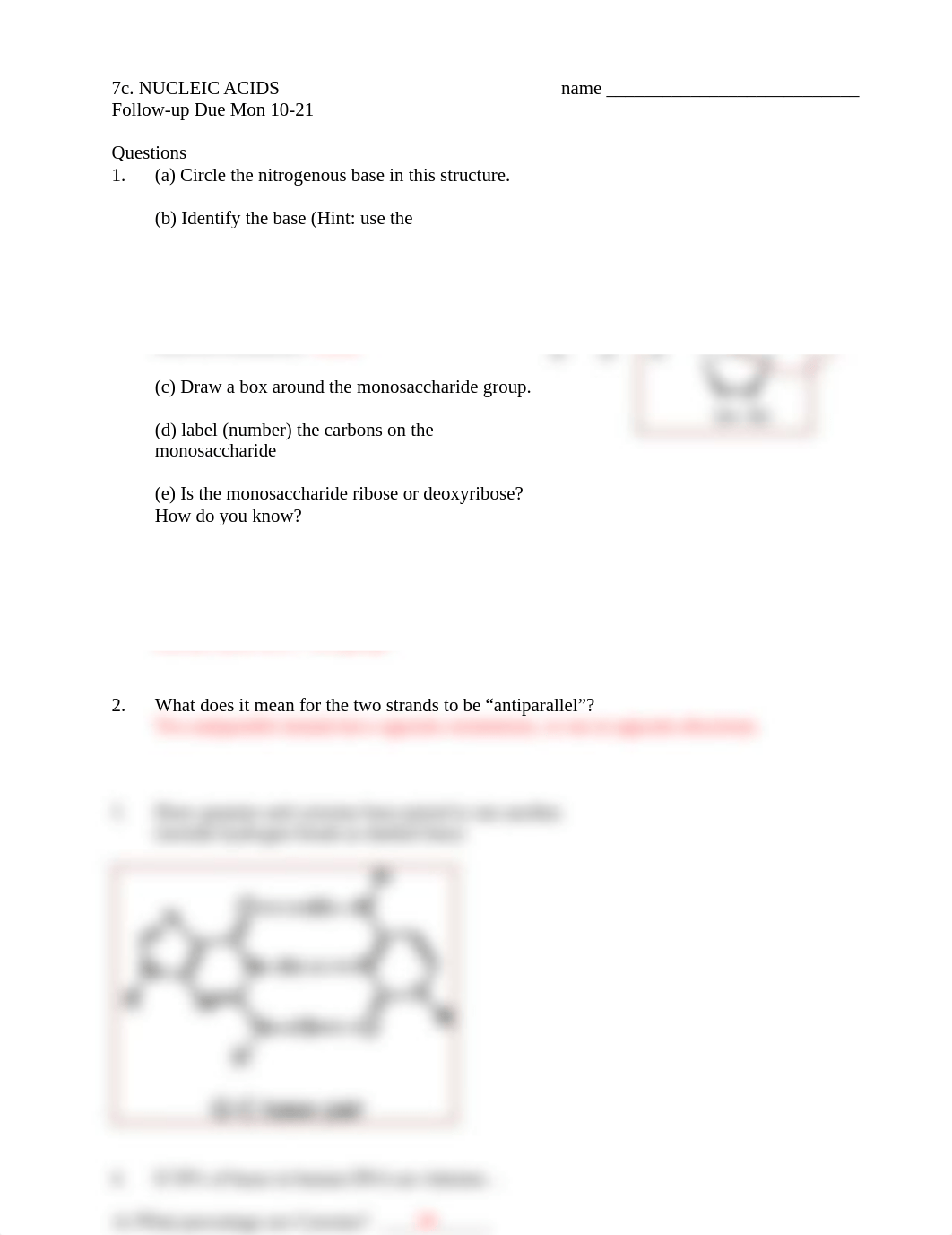 7c. Nucleic Acids pogil (F19) KEY(1).pdf_dffql1vn8x0_page1