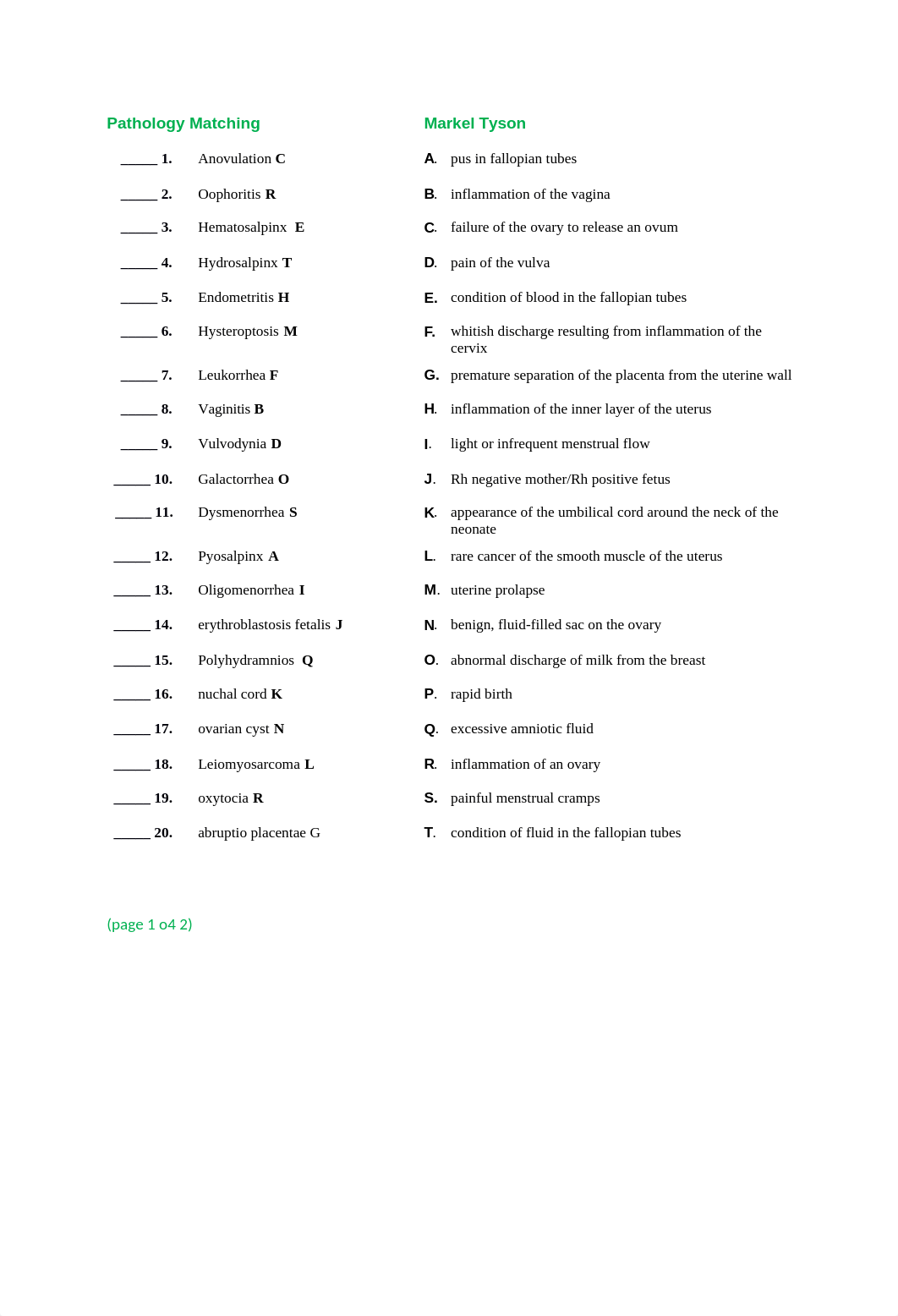 Week 6 Lesson 2 Terminology Worksheet.docx_dffs5hl1n86_page1