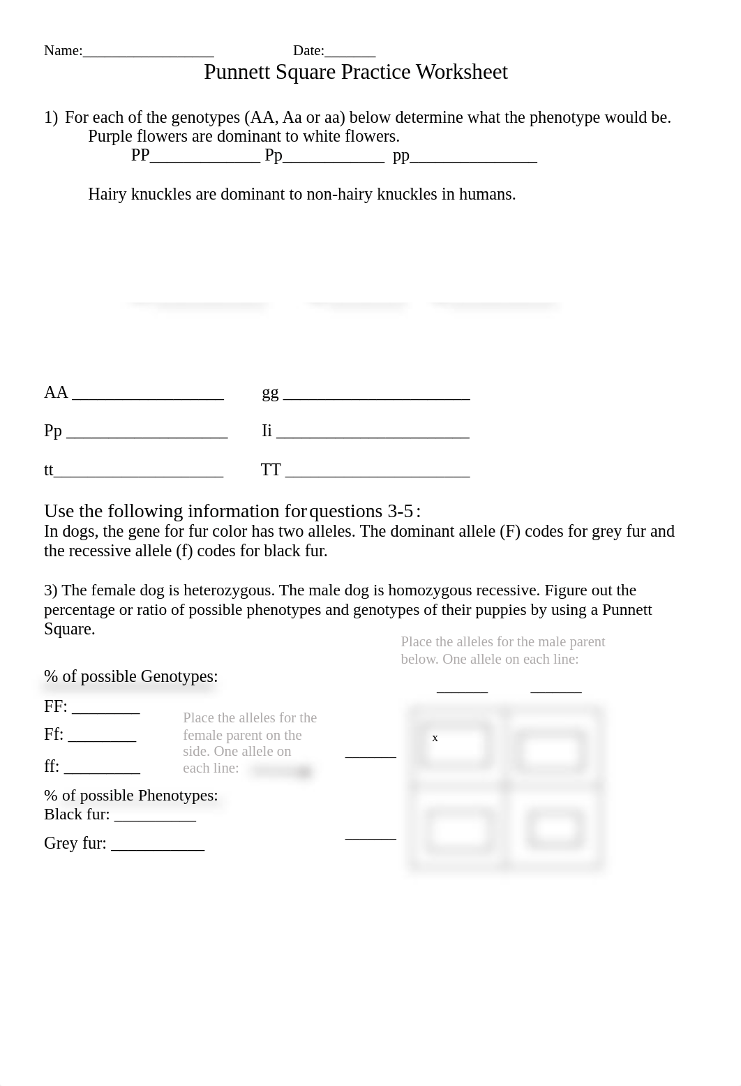 Punnett Square Practice Worksheet (Jay Z)-honors.doc_dfftmp2i1nl_page1