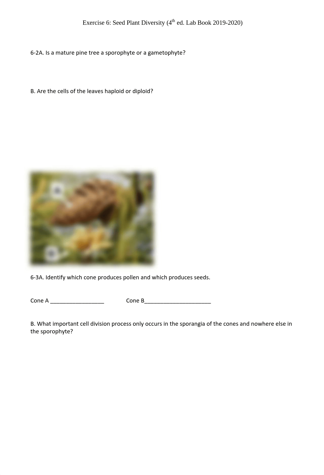 your_name Biol 111 Worksheet 6.pdf_dfg2vvmo1xw_page2