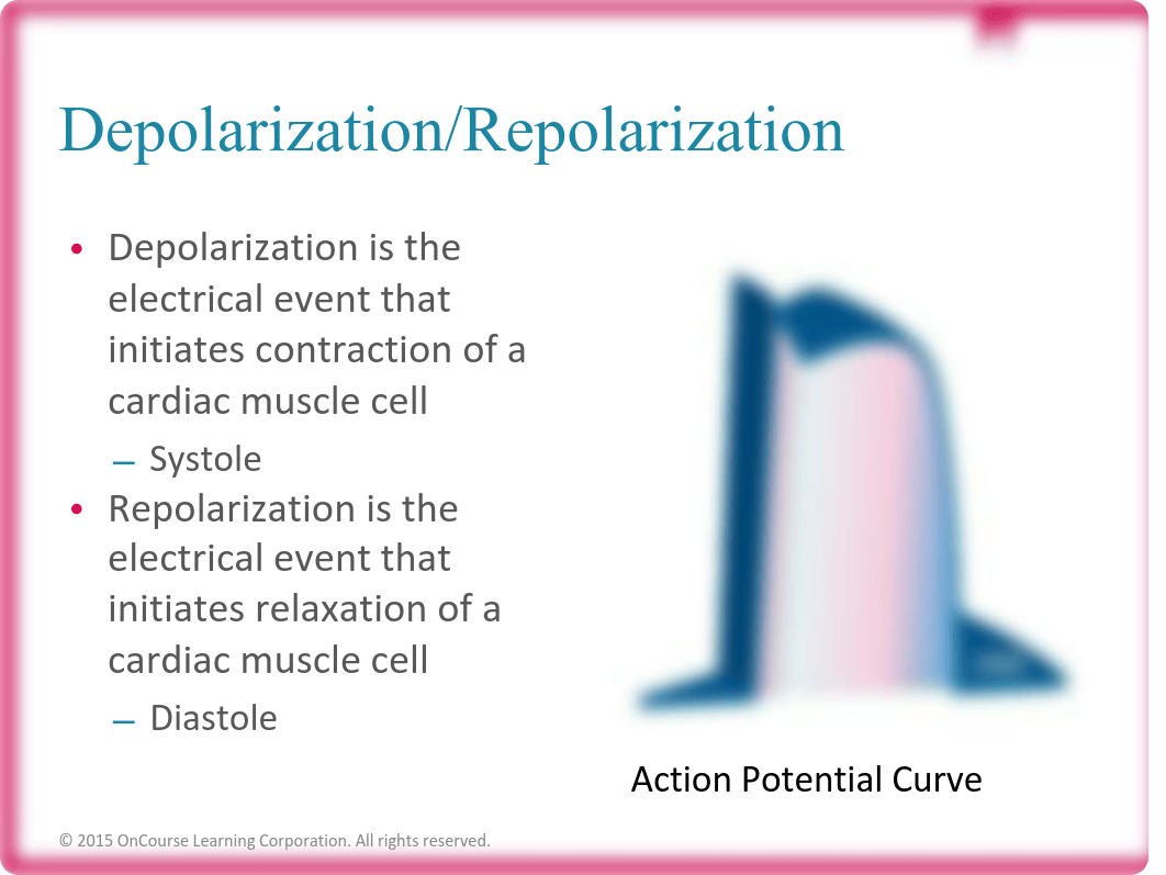 Cardiovascular_Nursing_103_12_Lead_Diagnosis_FINAL.pdf_dfg4drff6a5_page4