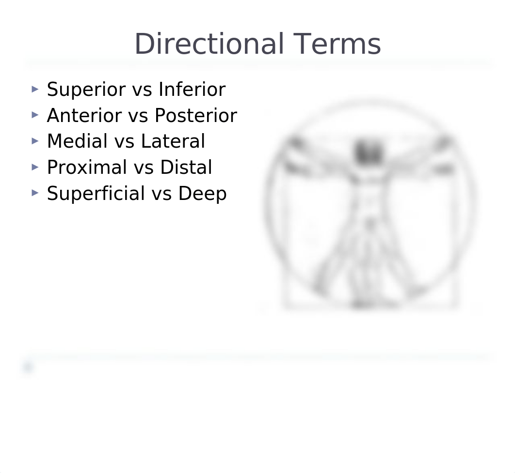 1. Basic Movement Terminology (1)_dfg55d79zyy_page4