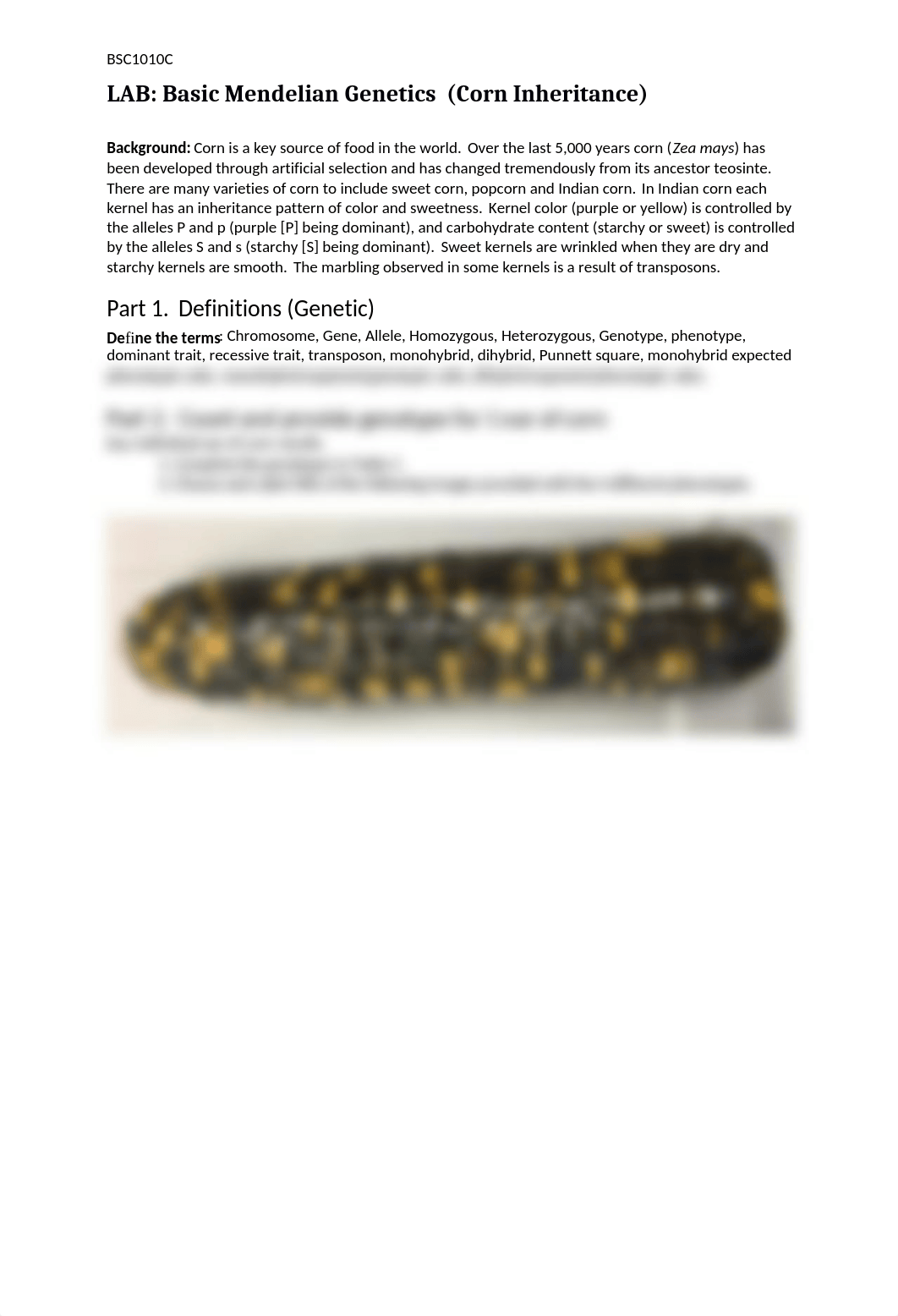 Lab Mendel Corn Genetics BSC1010  updated online (1).docx_dfg79nwq4nl_page1