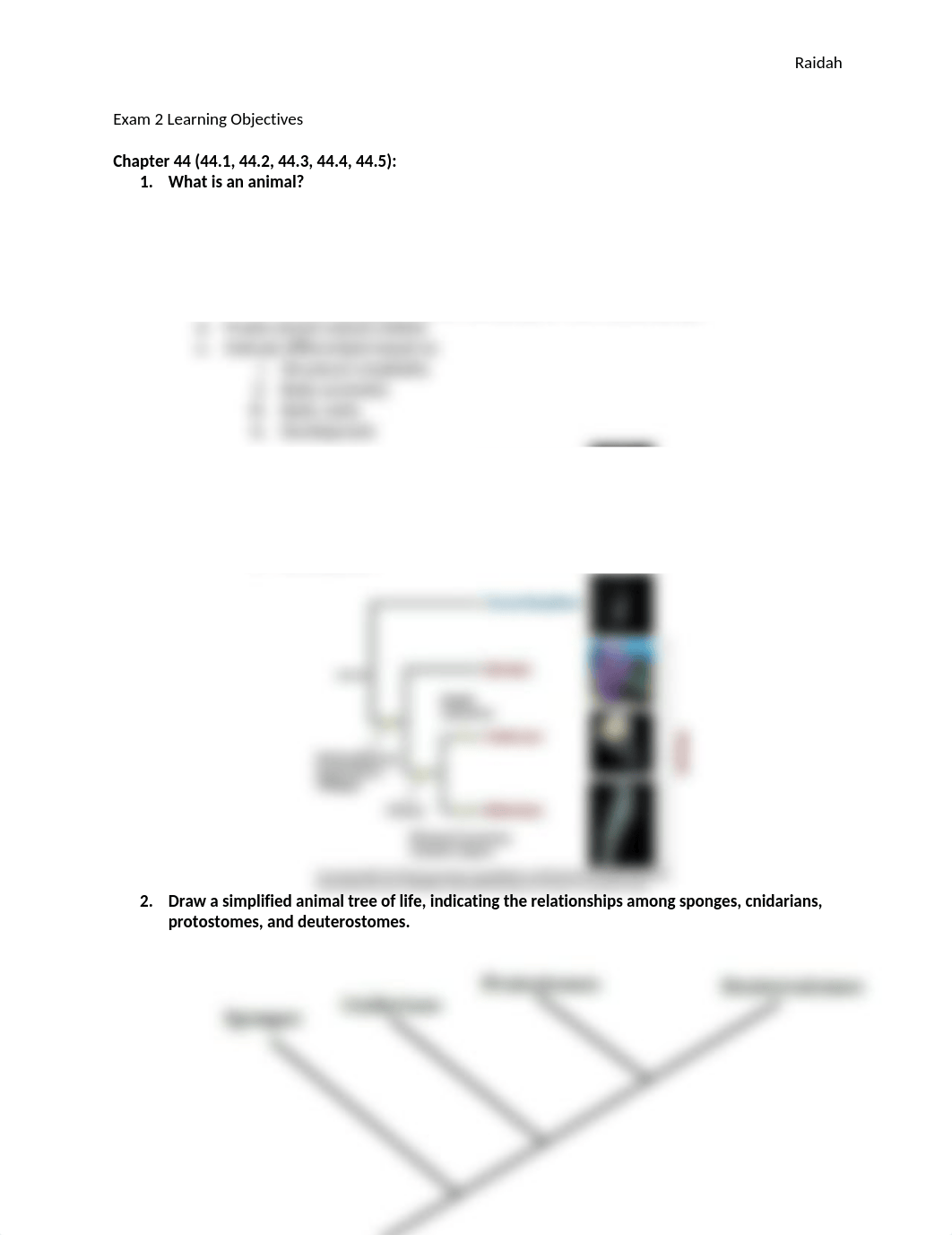 Biology self assessment questions (quiz 2 second semester) (1).docx_dfgb6qbekab_page1