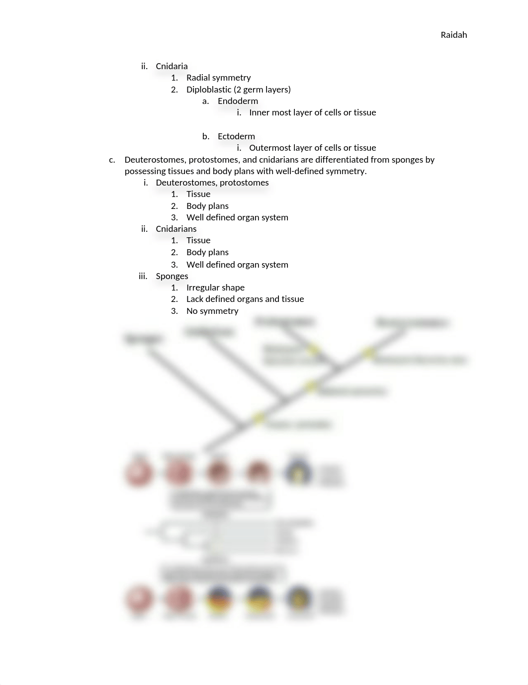 Biology self assessment questions (quiz 2 second semester) (1).docx_dfgb6qbekab_page3