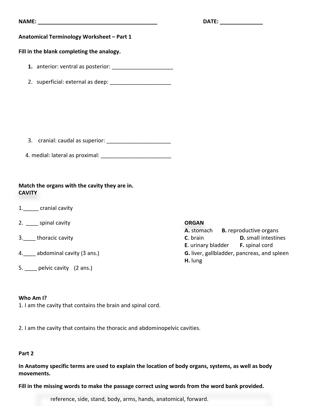 anatomical terminology worksheet.pdf_dfgidnvti9q_page1