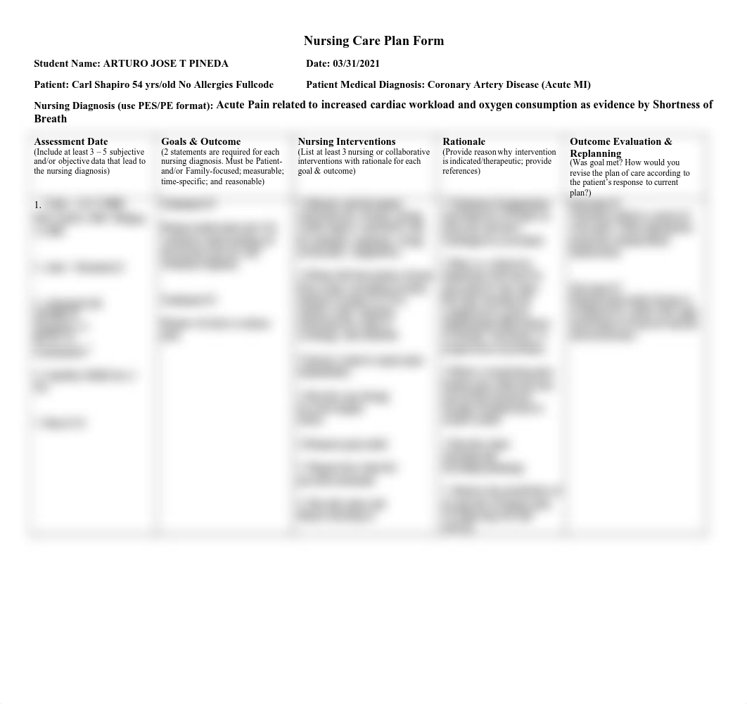 Carl Shapiro Nursing Care Plan.pdf_dfgnhms4hud_page1