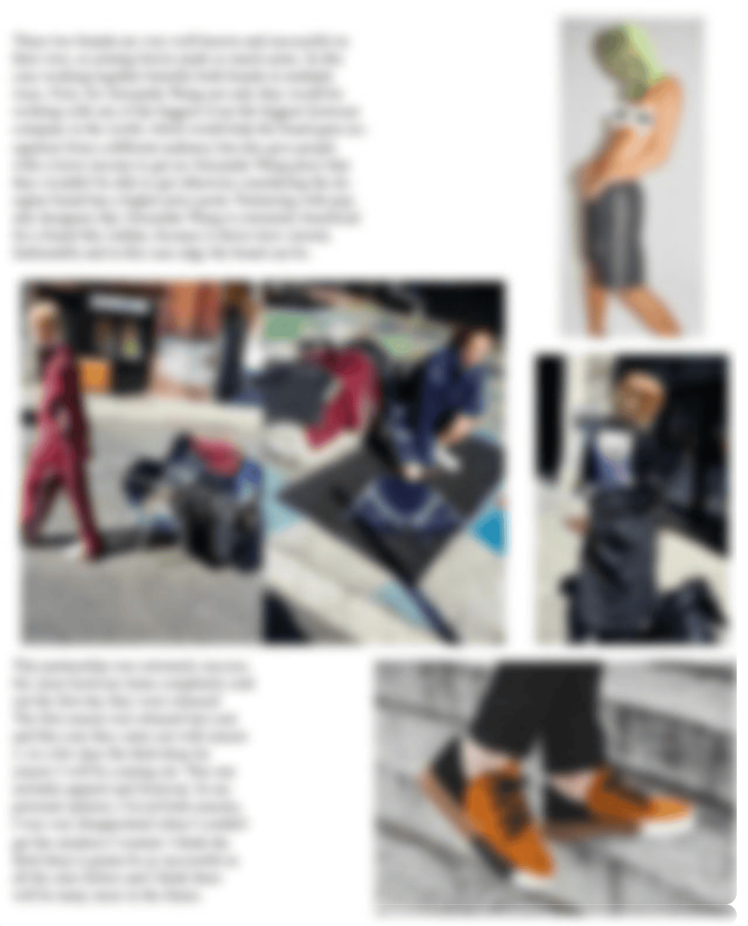 AlexanderWang X Adidas.pdf_dfgpfiizvj0_page3