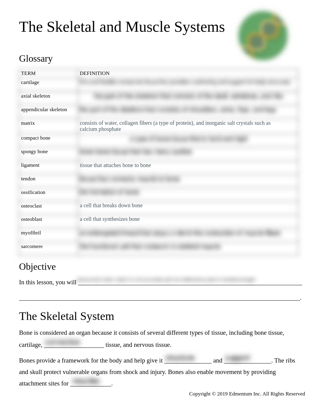 The Skeletal and Muscel Systems.pdf_dfgs7q7ut05_page1