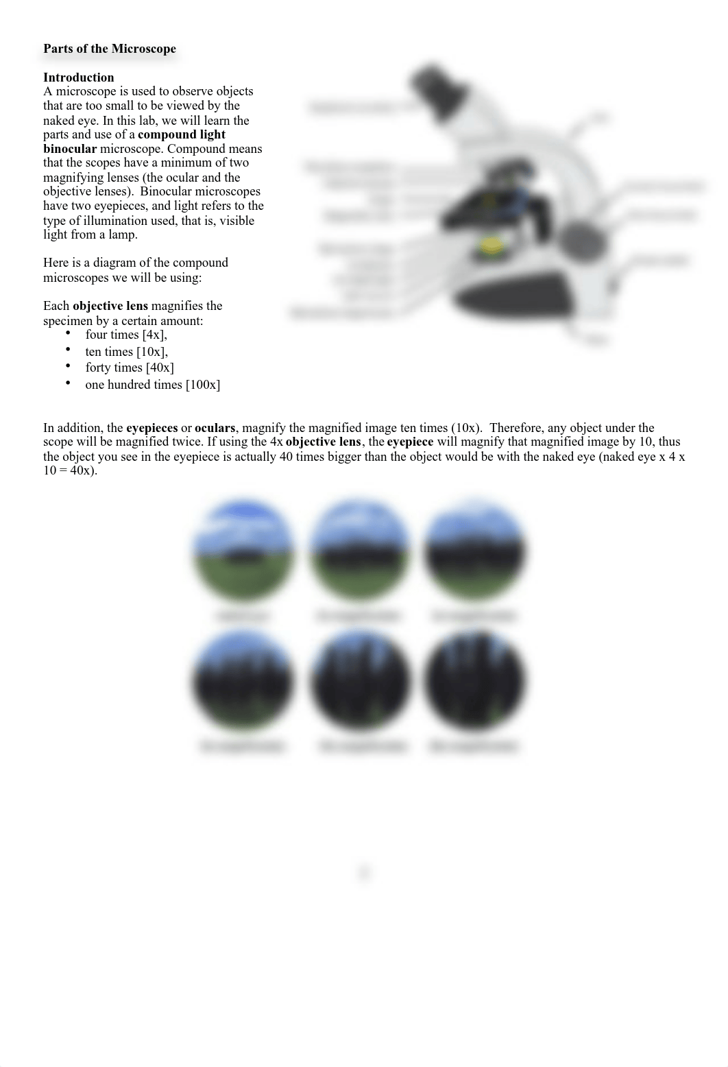 Microscopy Lab Protocol and Homework.pdf_dfgvybr8o4r_page2