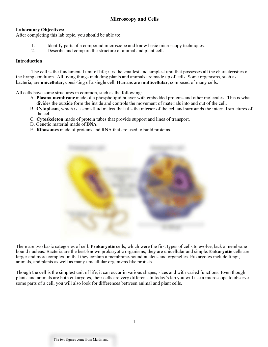 Microscopy Lab Protocol and Homework.pdf_dfgvybr8o4r_page1