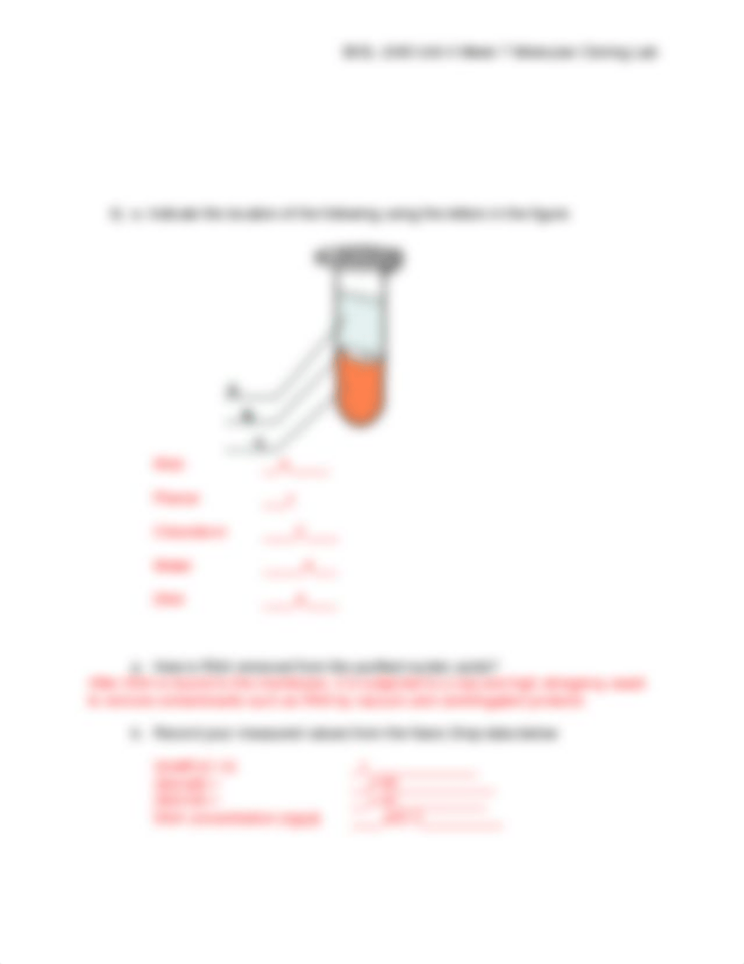 BIOL 1040 Unit 4 Week 7 Molecular Cloning Lab Assessment_Musal.docx_dfh4tcvjxsb_page2