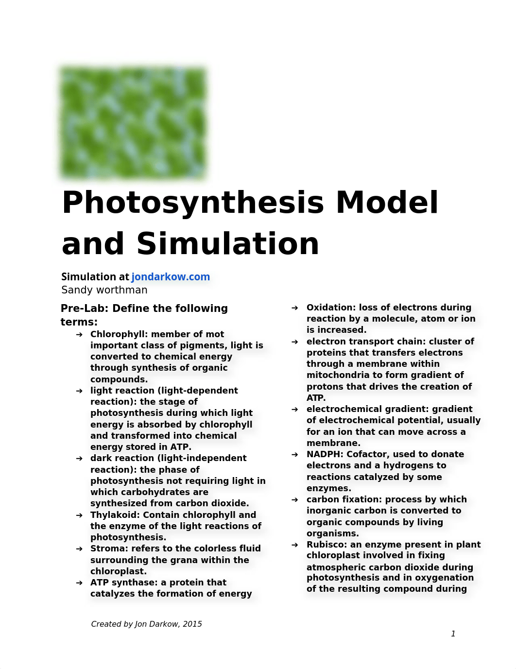 Photosynthesis Simulation.docx_dfh9f5h8tp6_page1