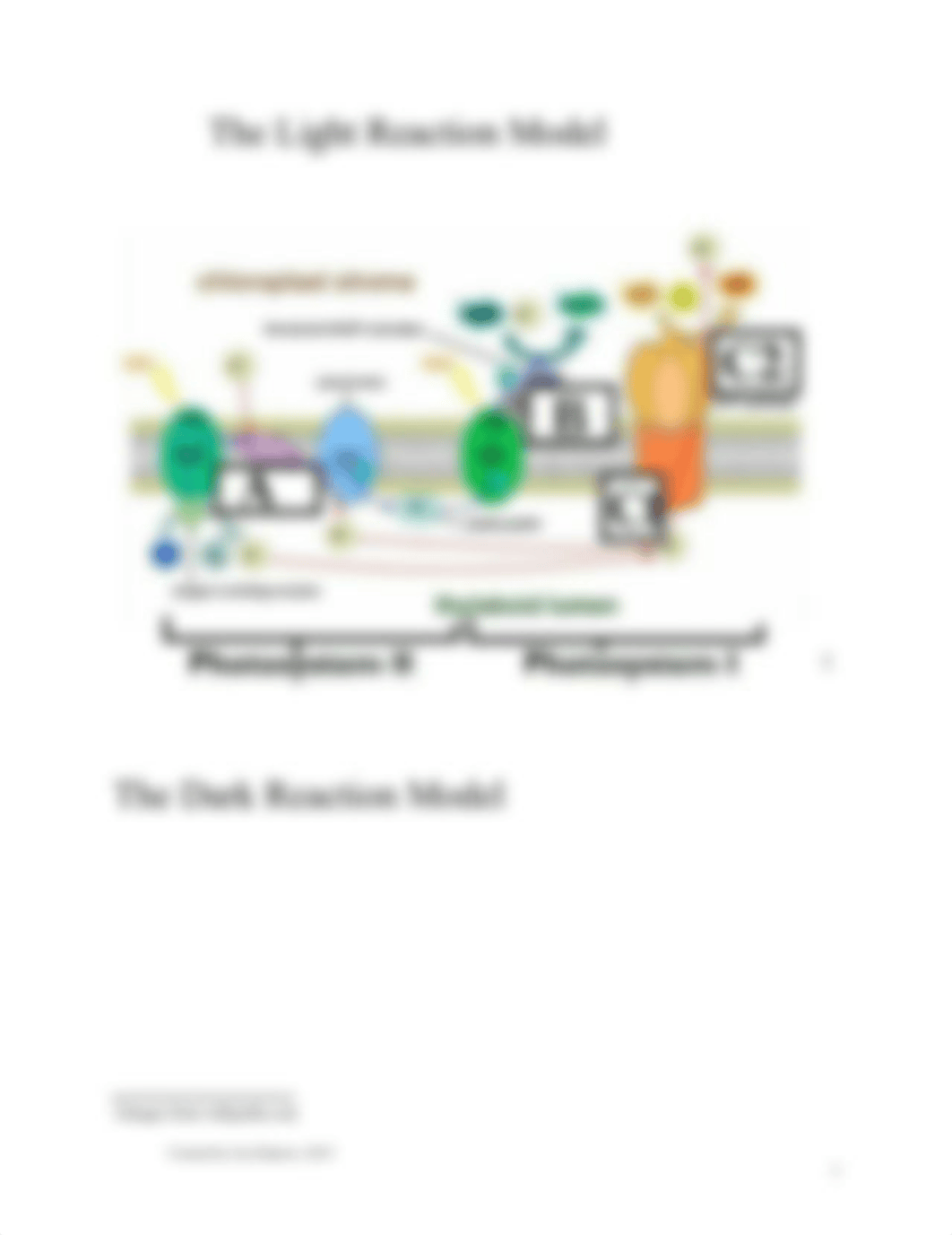 Photosynthesis Simulation.docx_dfh9f5h8tp6_page3