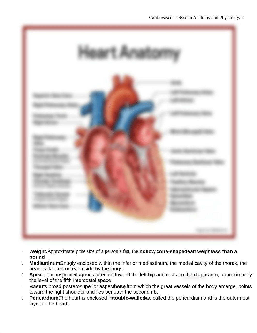 NURSESLABS~Cardiovascular-System-Anatomy-and-Physiology (1).pdf_dfhaxk934rm_page2