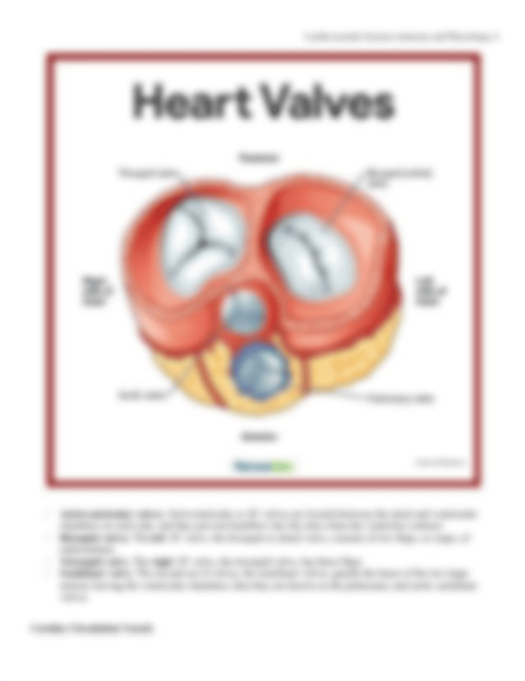 NURSESLABS~Cardiovascular-System-Anatomy-and-Physiology (1).pdf_dfhaxk934rm_page4