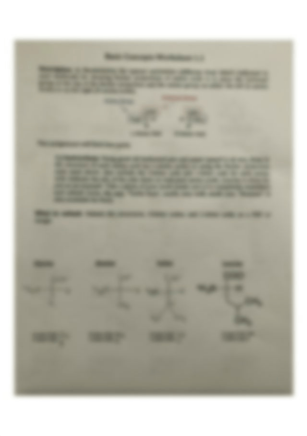 Worksheet 1.1_dfhftpodr6e_page1