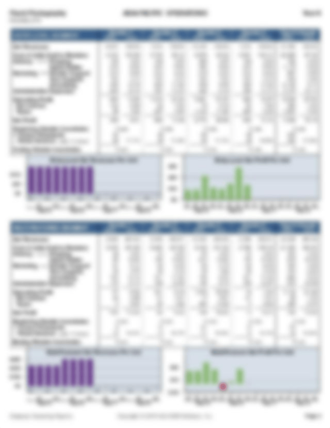 GLO-BUS — Industry 213, Flash Photography, Year 7 industry report_dfhjuh1j4gh_page4