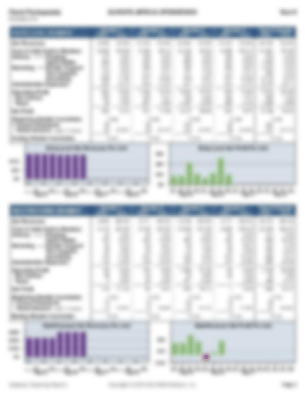 GLO-BUS — Industry 213, Flash Photography, Year 7 industry report_dfhjuh1j4gh_page3