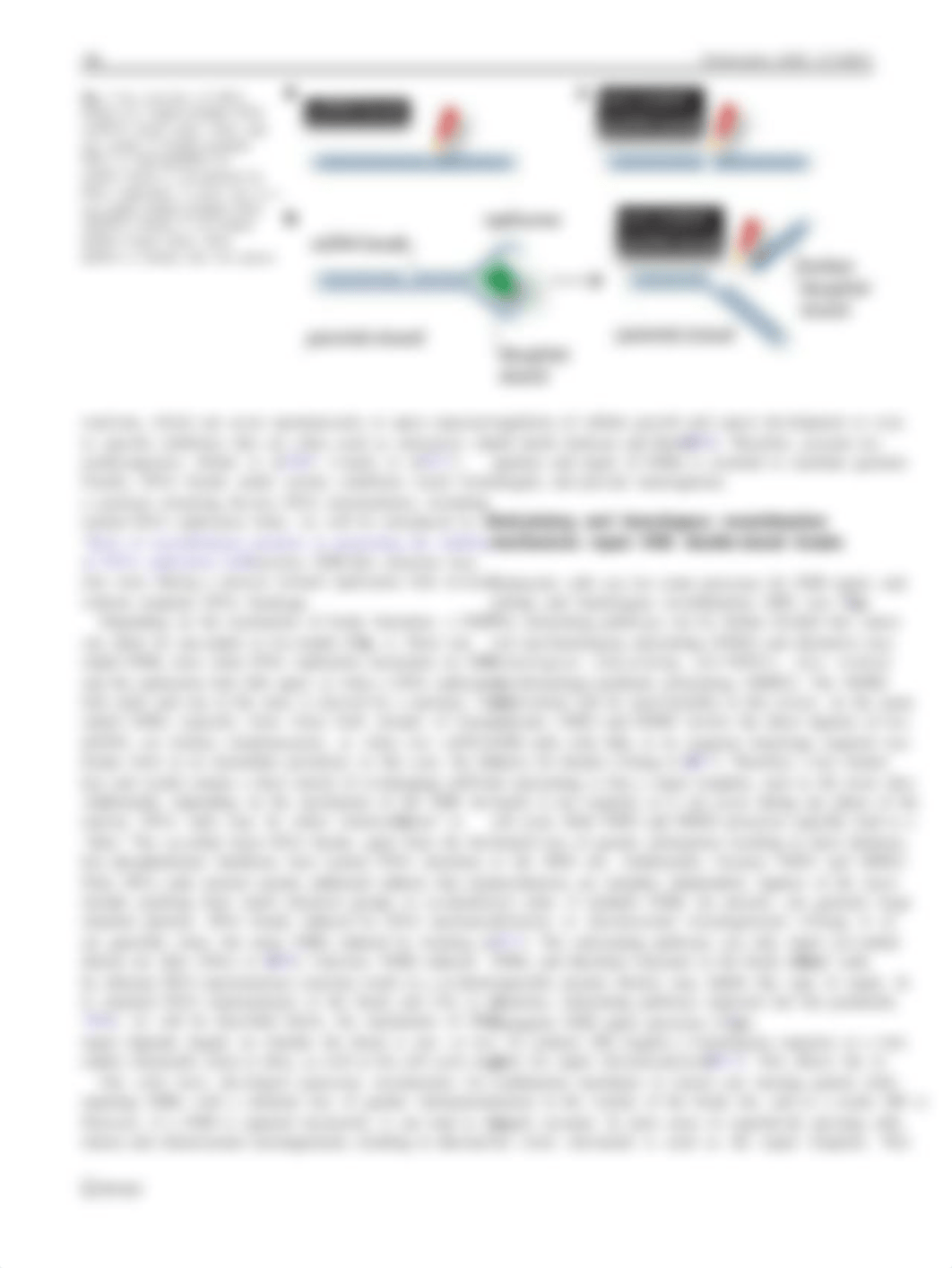 Reading assig lecture 4 Main steps in DNA double-strand break repair.pdf_dfhnunjtqpx_page2