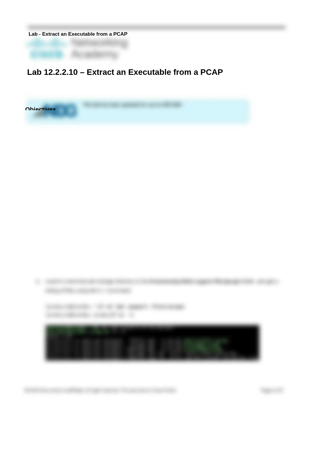 12.2.2.10_Lab___Extract_an_Executable_from_a_PCAP.docx_dfhq23bpuii_page1
