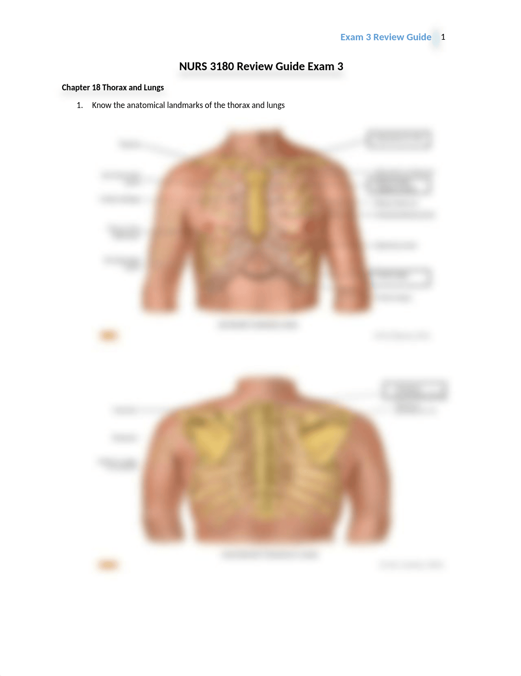 NURS 3180 Review Guide Exam 3_dfhssx3nj19_page1