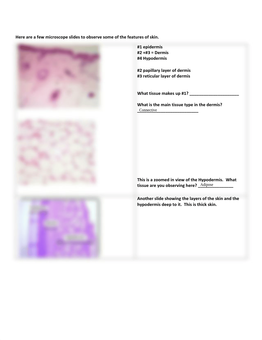 Chapter 4 Lab Activity-completed.pdf_dfhwvyuazdj_page3