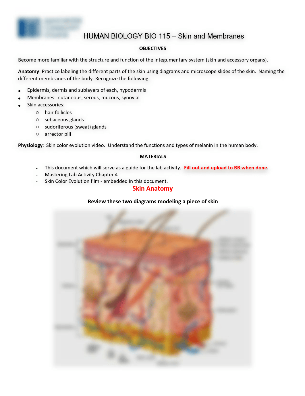 Chapter 4 Lab Activity-completed.pdf_dfhwvyuazdj_page1