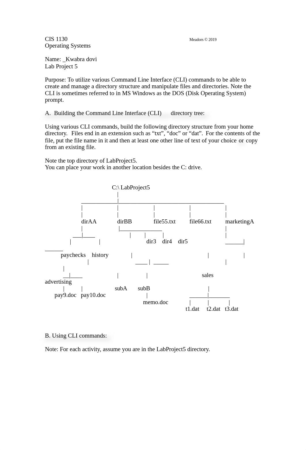 lab5 os.doc_dfi0qkclnew_page1